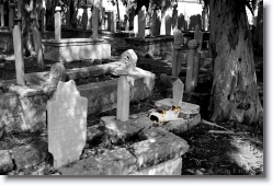turkish_cemetery_rhodes_greece_001 * 1st MedCLIVAR-ESF Summer School, 17-27 Sept, 2008, Rhodes, Greece                         